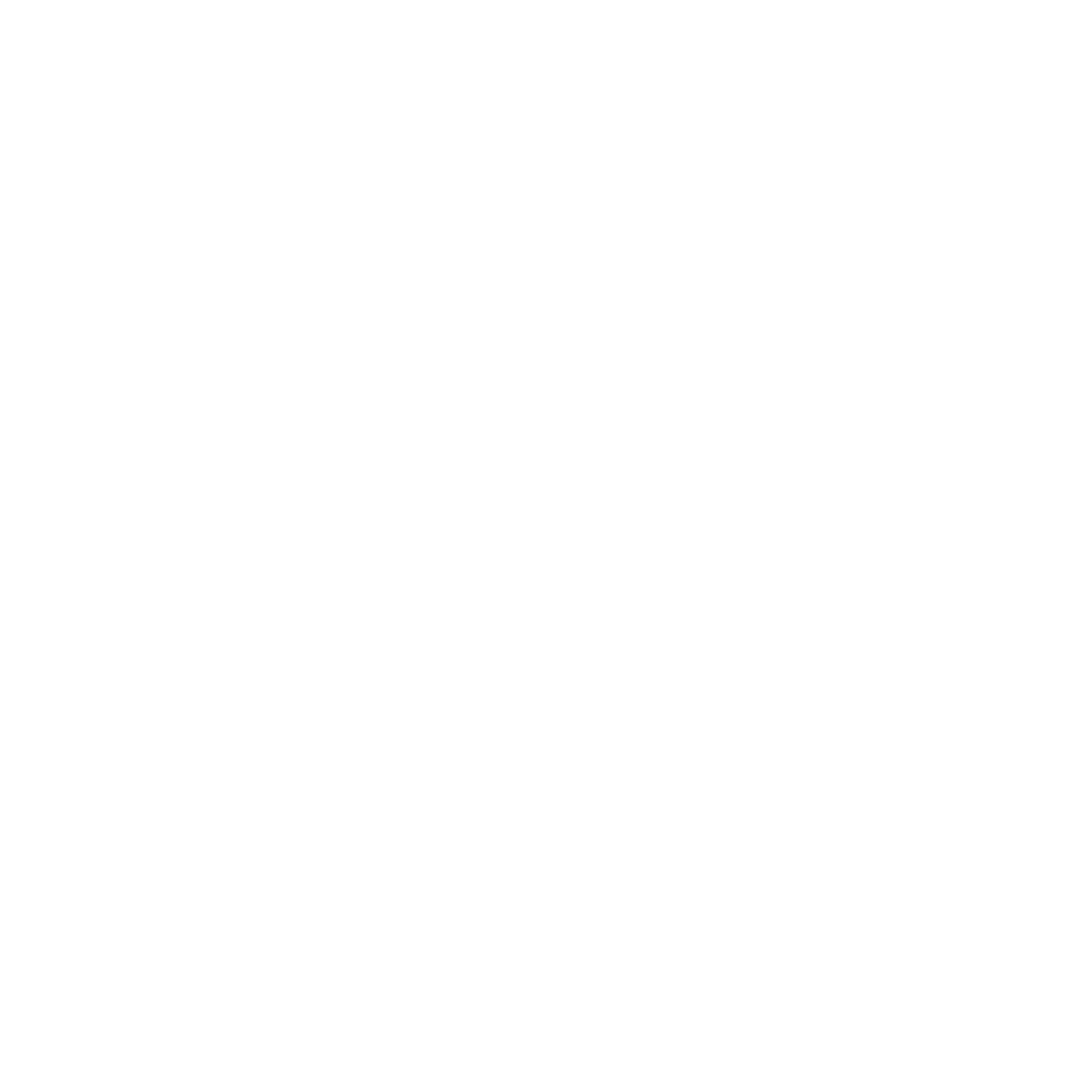 Logo USACH Space Program
